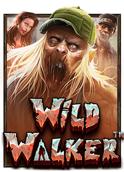 สูตรเด็ดบ่อนคาสิโน กัมพูชา และการผจญภัยเดิมพันแบบไทยๆ